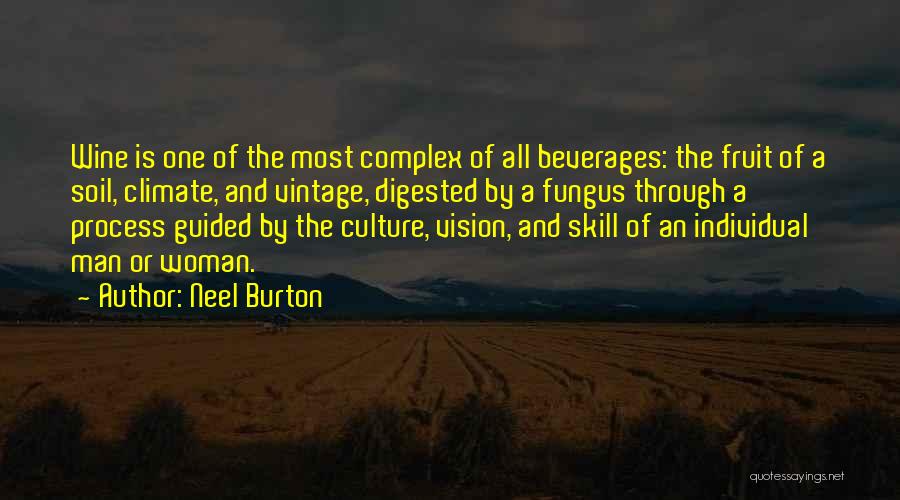 A Vision Quotes By Neel Burton