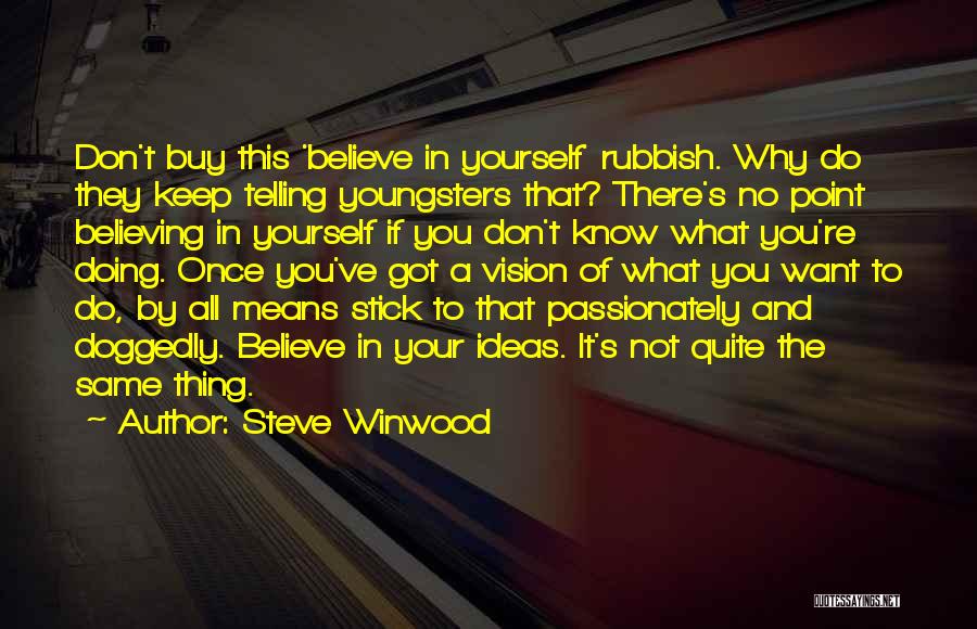 A Vision Quotes By Steve Winwood