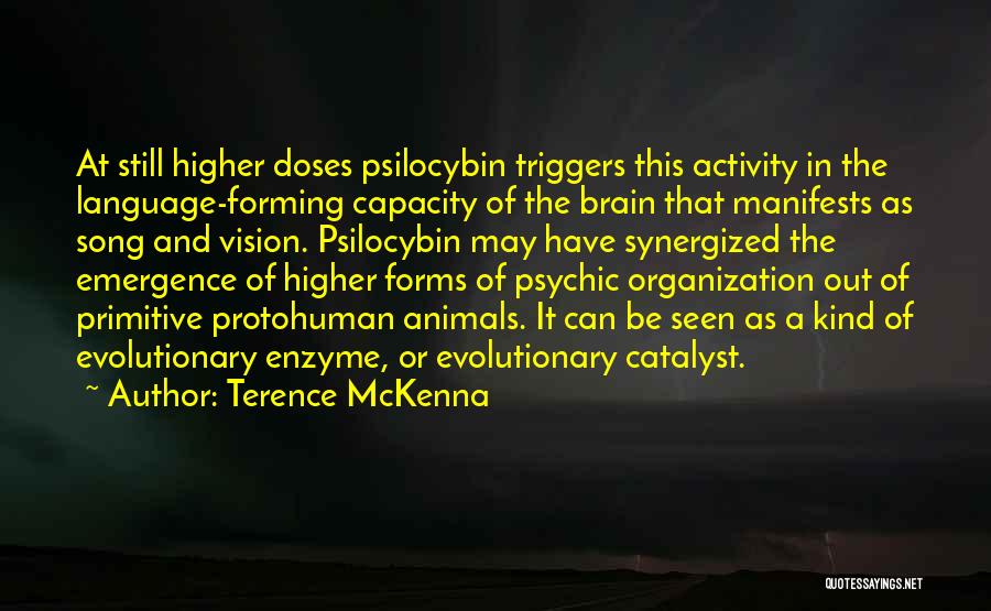 A Vision Quotes By Terence McKenna