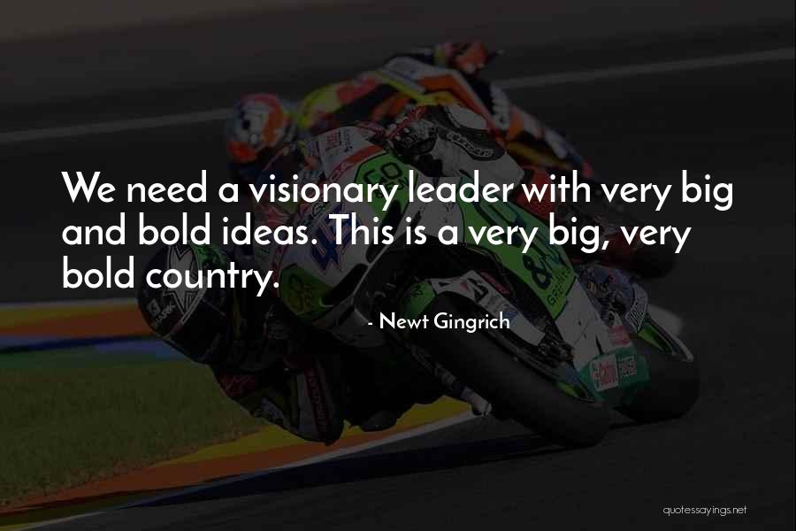 A Visionary Leader Quotes By Newt Gingrich A Visionary Leader Quotes By Newt Gingrich