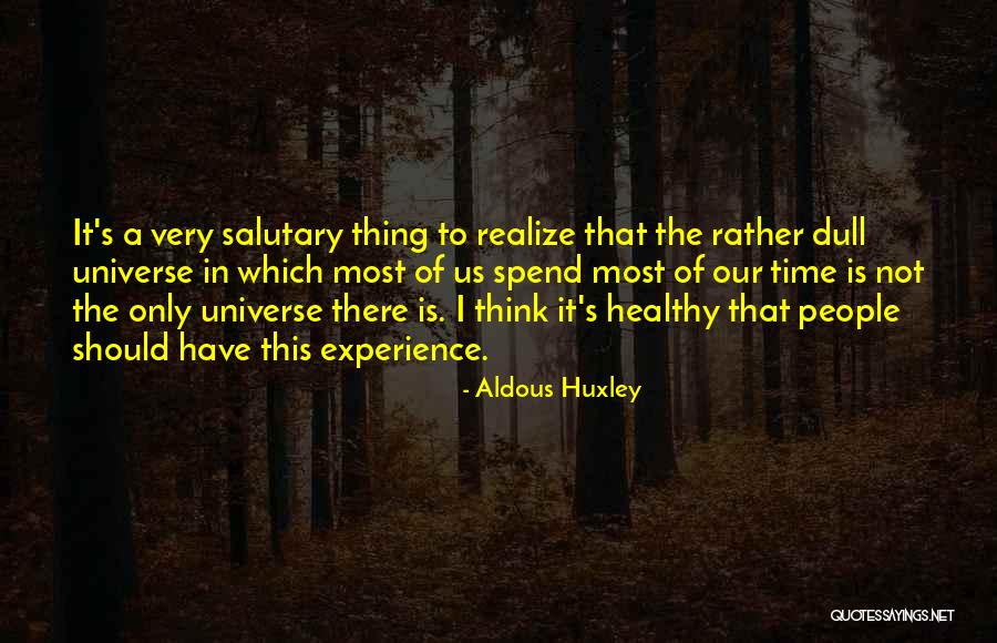 A Visionary Quotes By Aldous Huxley