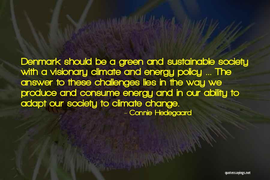 A Visionary Quotes By Connie Hedegaard