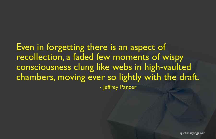 A Visionary Quotes By Jeffrey Panzer