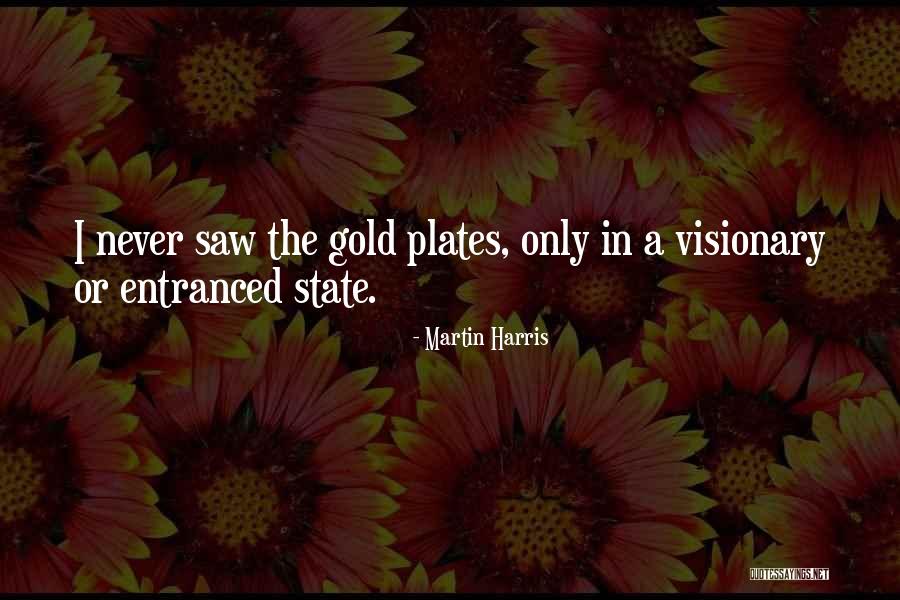 A Visionary Quotes By Martin Harris A Visionary Quotes By Martin Harris