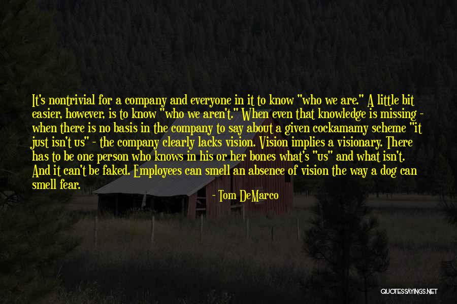 A Visionary Quotes By Tom DeMarco