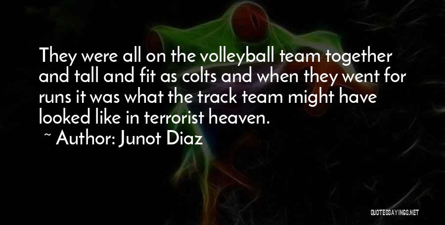 A Volleyball Team Quotes By Junot Diaz