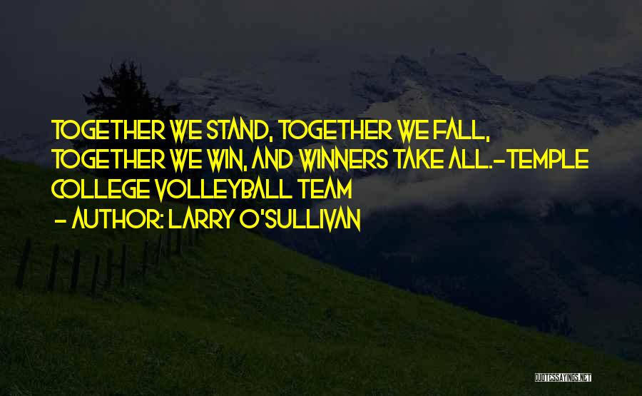 A Volleyball Team Quotes By Larry O'Sullivan
