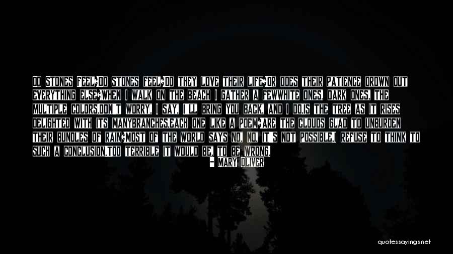 A Walk In The Clouds Love Quotes By Mary Oliver A Walk In The Clouds Love Quotes By Mary Oliver