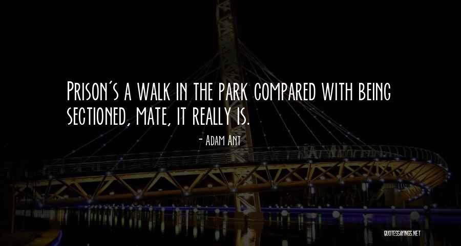 A Walk In The Park Quotes By Adam Ant A Walk In The Park Quotes By Adam Ant