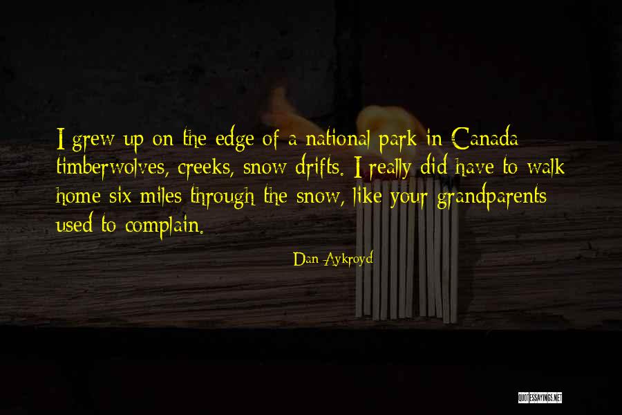 A Walk In The Park Quotes By Dan Aykroyd A Walk In The Park Quotes By Dan Aykroyd