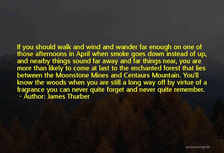 A Walk To Remember Quotes By James Thurber