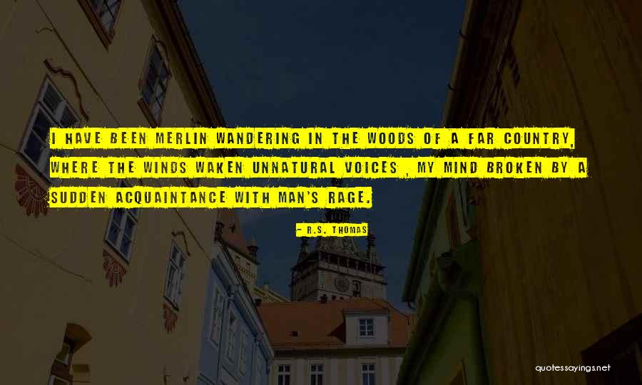 A Wandering Mind Quotes By R.S. Thomas A Wandering Mind Quotes By R.S. Thomas