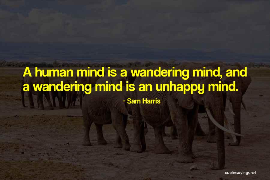 A Wandering Mind Quotes By Sam Harris