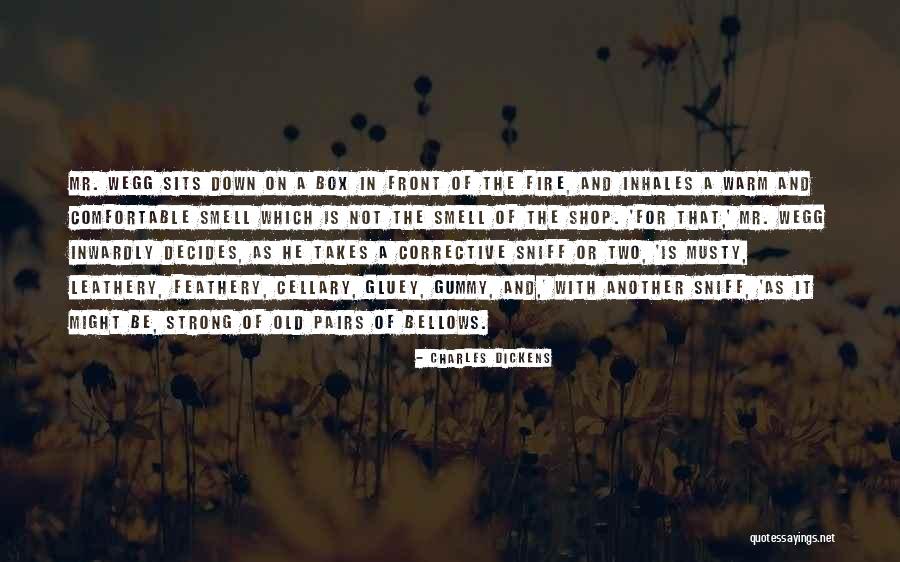 A Warm Fire Quotes By Charles Dickens A Warm Fire Quotes By Charles Dickens