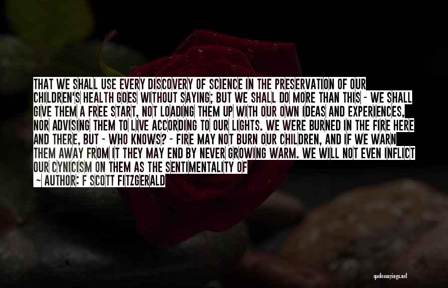 A Warm Fire Quotes By F Scott Fitzgerald