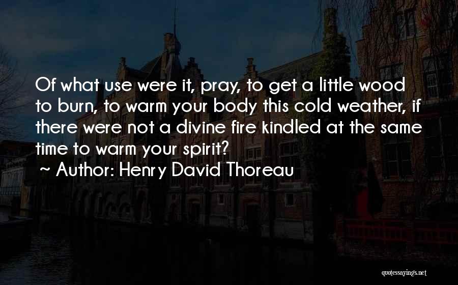 A Warm Fire Quotes By Henry David Thoreau