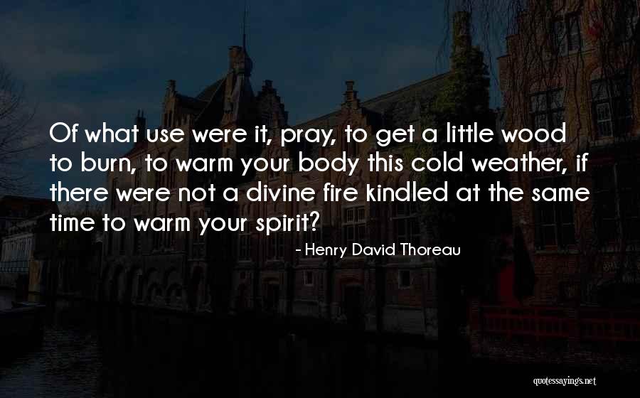 A Warm Fire Quotes By Henry David Thoreau