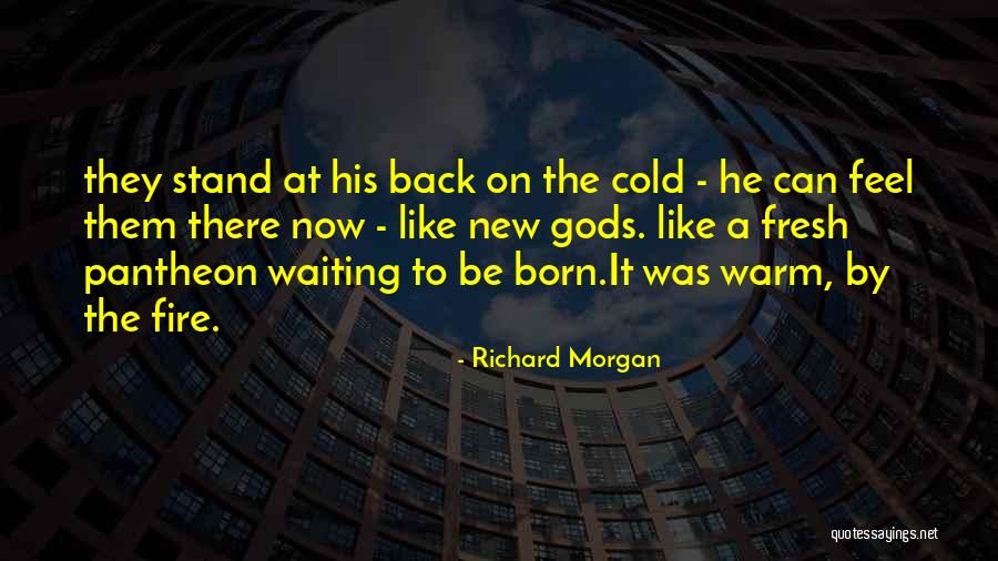 A Warm Fire Quotes By Richard Morgan