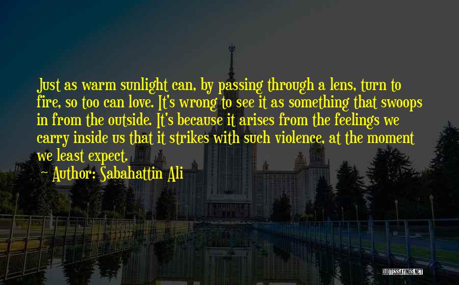 A Warm Fire Quotes By Sabahattin Ali