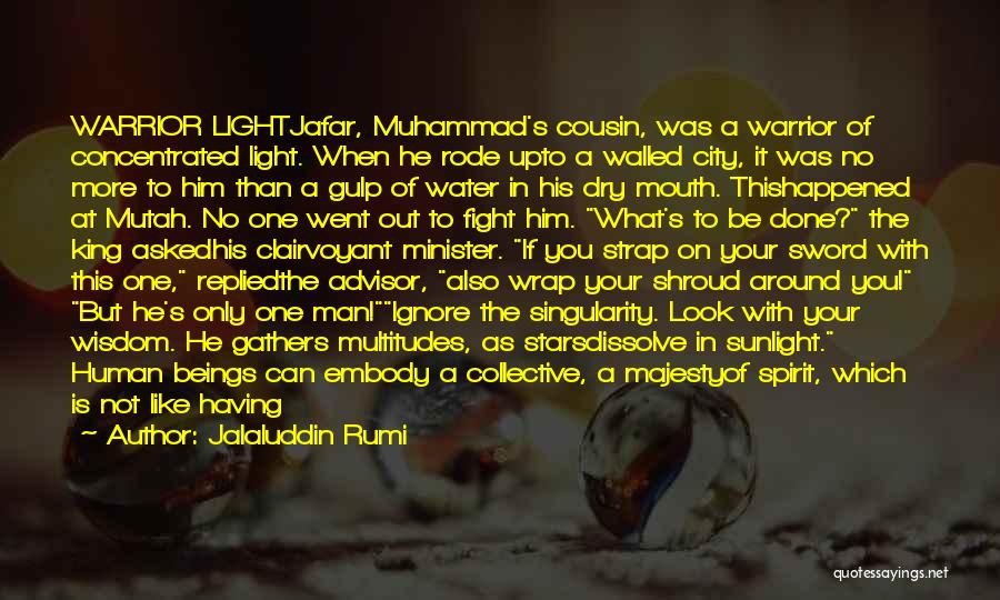 A Warrior Of Light Quotes By Jalaluddin Rumi