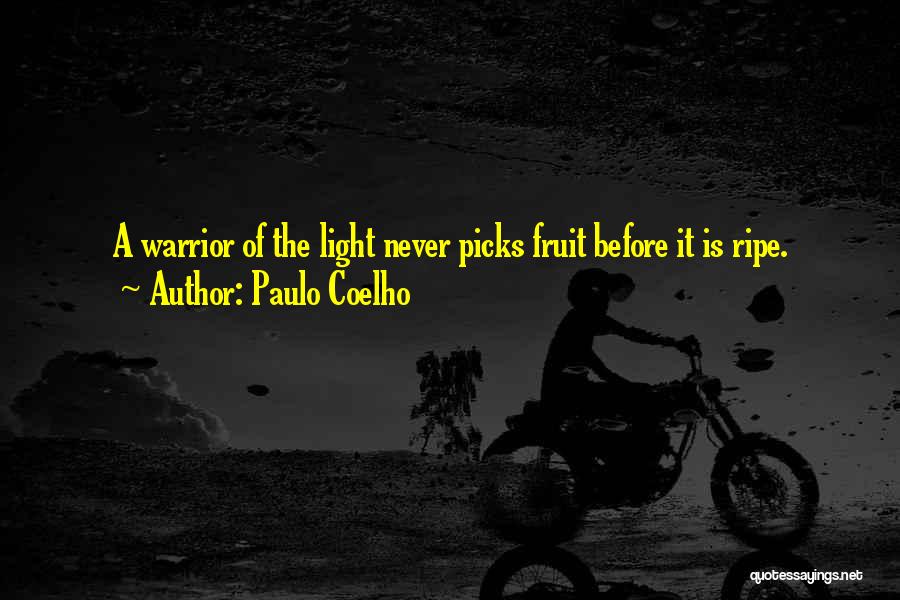 A Warrior Of Light Quotes By Paulo Coelho