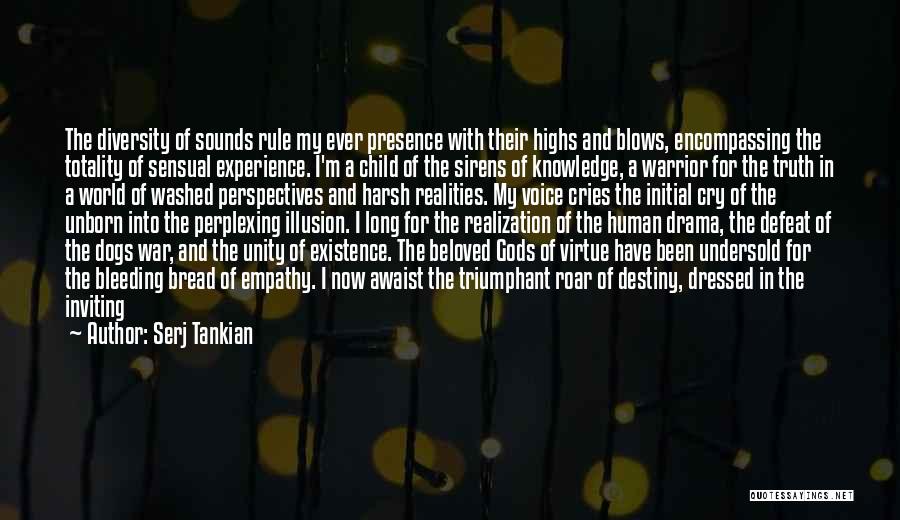 A Warrior Of Light Quotes By Serj Tankian