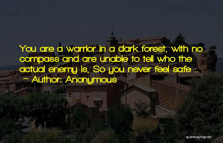 A Warrior Quotes By Anonymous