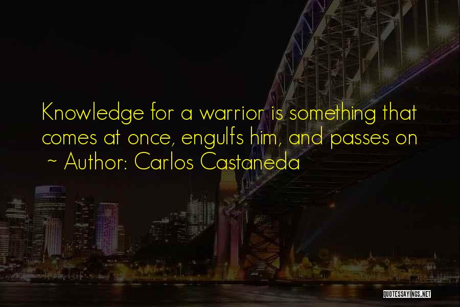 A Warrior Quotes By Carlos Castaneda