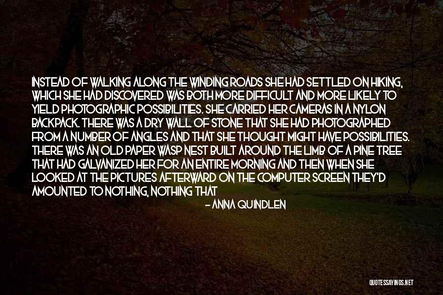 A Wasp Quotes By Anna Quindlen A Wasp Quotes By Anna Quindlen