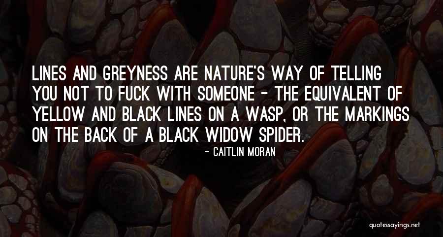 A Wasp Quotes By Caitlin Moran A Wasp Quotes By Caitlin Moran