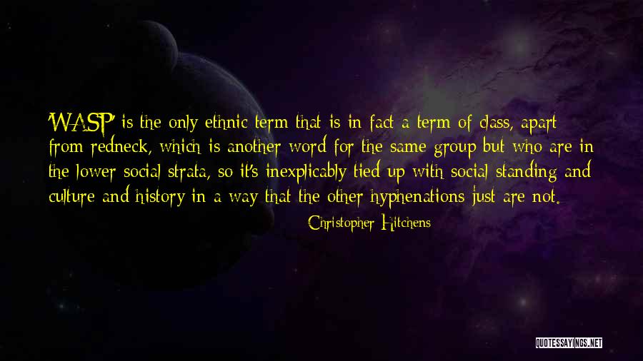 A Wasp Quotes By Christopher Hitchens A Wasp Quotes By Christopher Hitchens