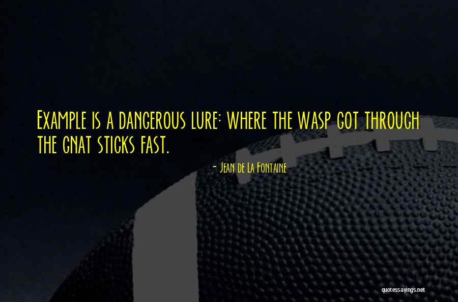 A Wasp Quotes By Jean De La Fontaine A Wasp Quotes By Jean De La Fontaine