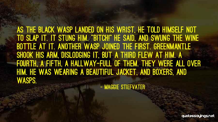 A Wasp Quotes By Maggie Stiefvater A Wasp Quotes By Maggie Stiefvater