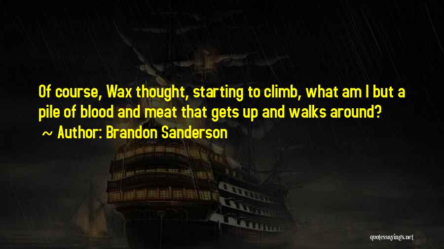 A Wax Quotes By Brandon Sanderson