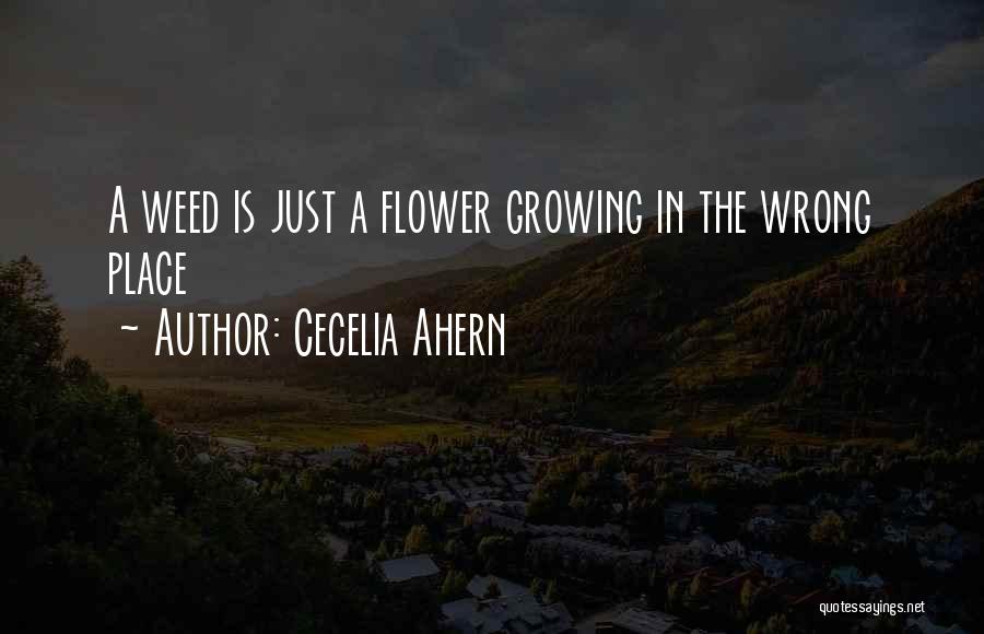 A Weed Quotes By Cecelia Ahern