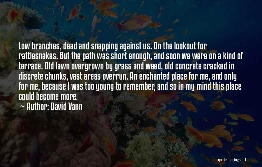 A Weed Quotes By David Vann