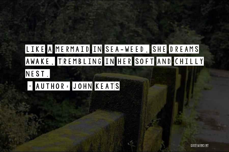 A Weed Quotes By John Keats