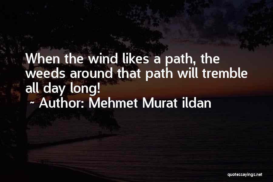 A Weed Quotes By Mehmet Murat Ildan