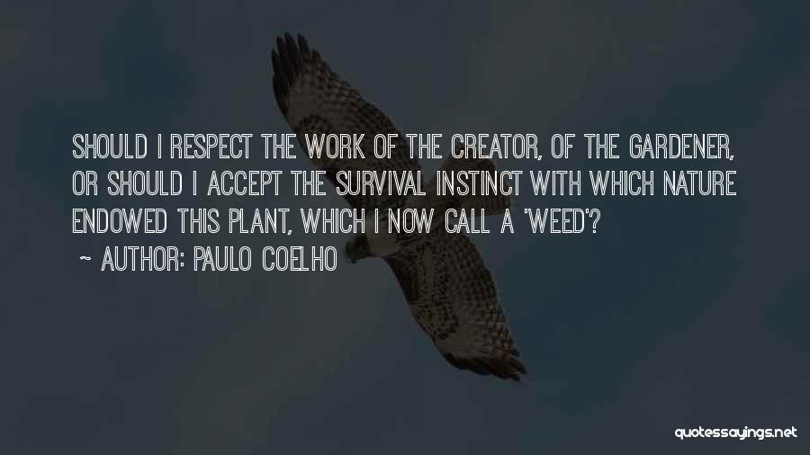 A Weed Quotes By Paulo Coelho