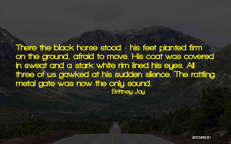 A White Horse Quotes By Brittney Joy