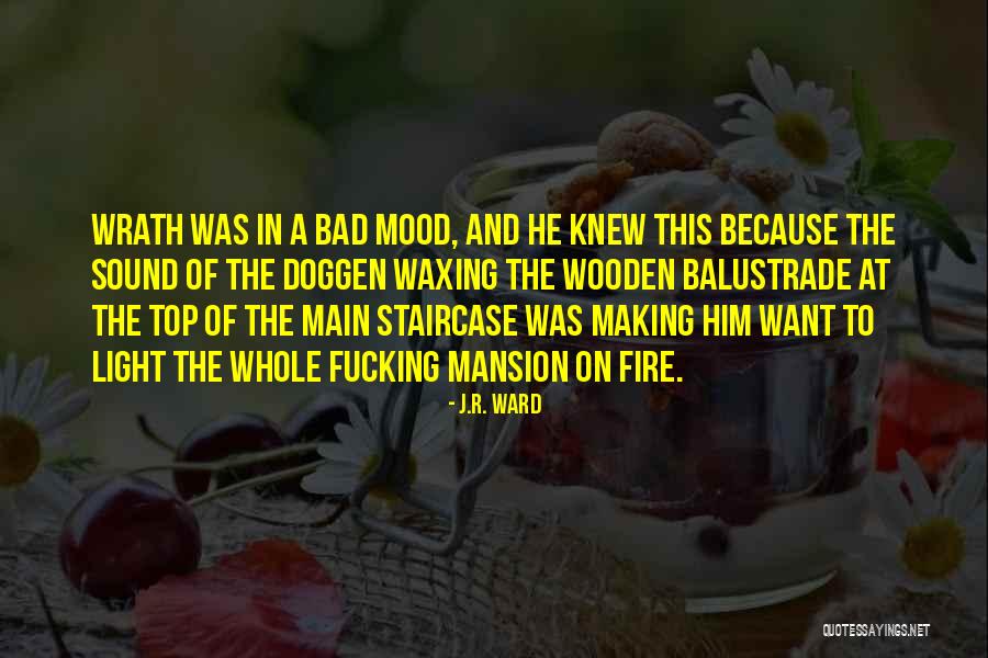 A Whole Mood Quotes By J.R. Ward A Whole Mood Quotes By J.R. Ward