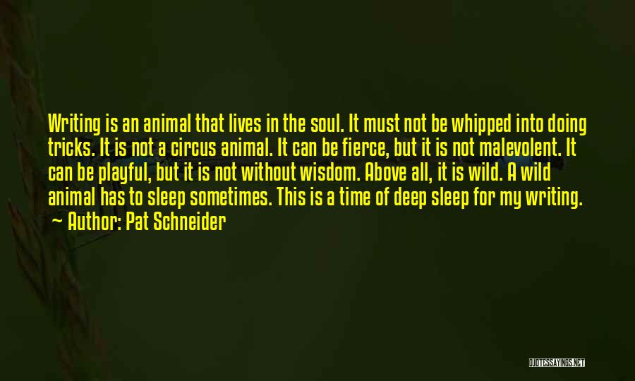 A Wild Soul Quotes By Pat Schneider