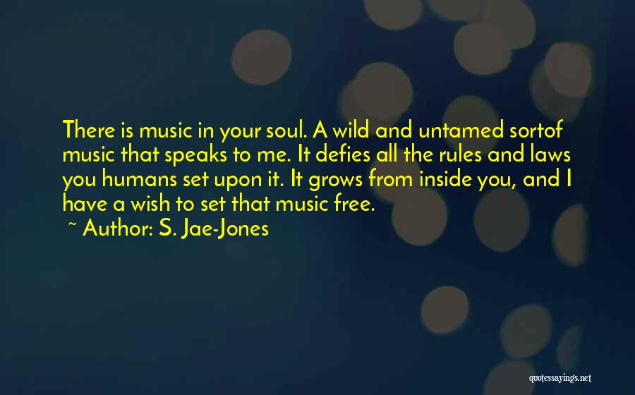 A Wild Soul Quotes By S. Jae-Jones