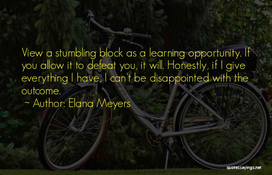 A Will Quotes By Elana Meyers