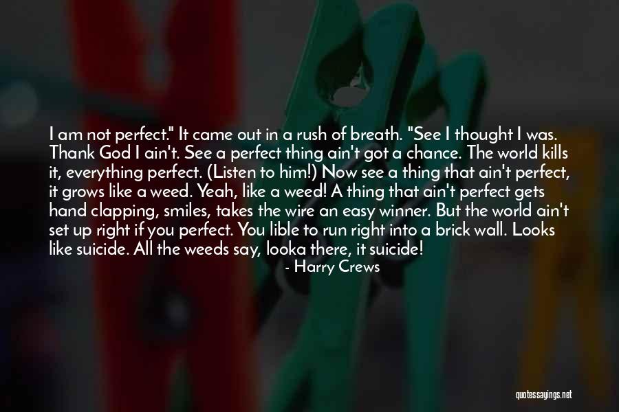 A Winner Quotes By Harry Crews A Winner Quotes By Harry Crews