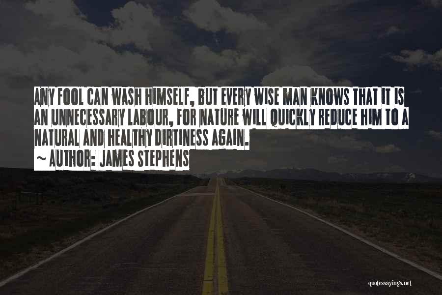 A Wise Man And A Fool Quotes By James Stephens