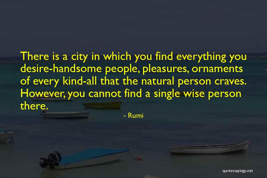 A Wise Person Quotes By Rumi A Wise Person Quotes By Rumi