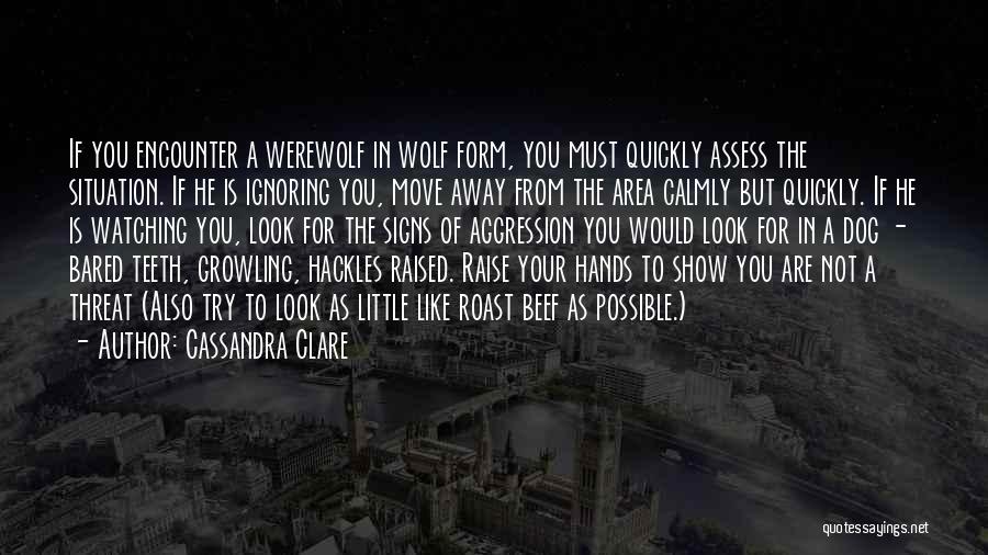 A Wolf Quotes By Cassandra Clare