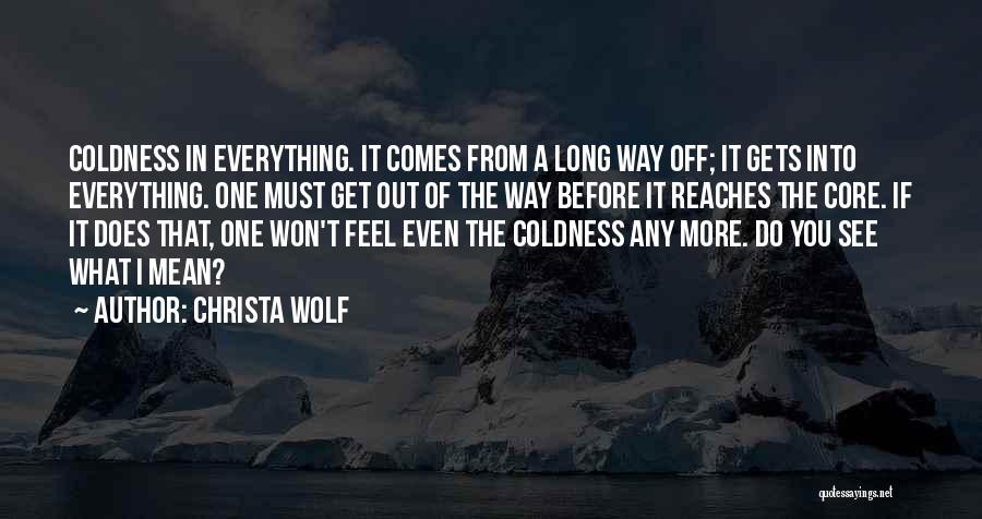 A Wolf Quotes By Christa Wolf