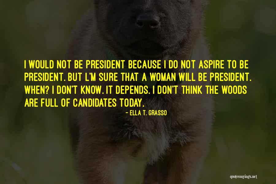 A Woman President Quotes By Ella T. Grasso A Woman President Quotes By Ella T. Grasso